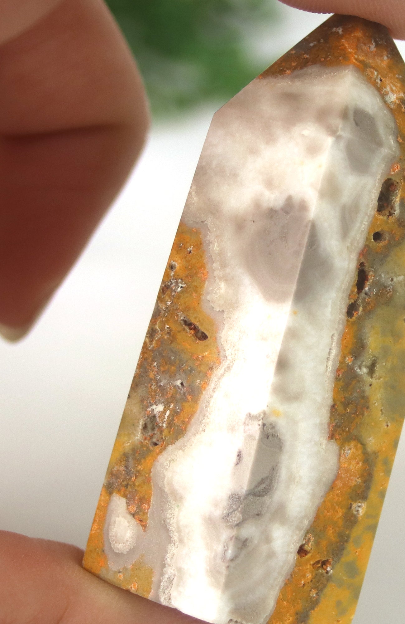 Bumble Bee Jasper Generator